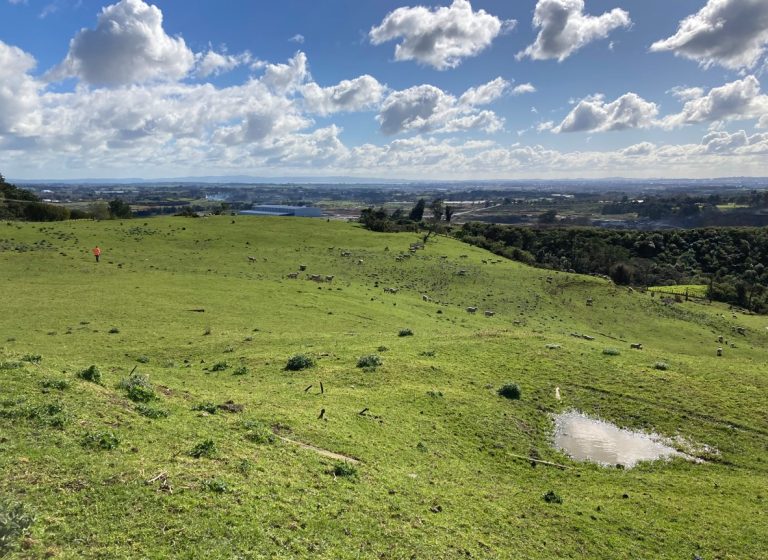 Consent granted for solar farm at Drury Quarry
