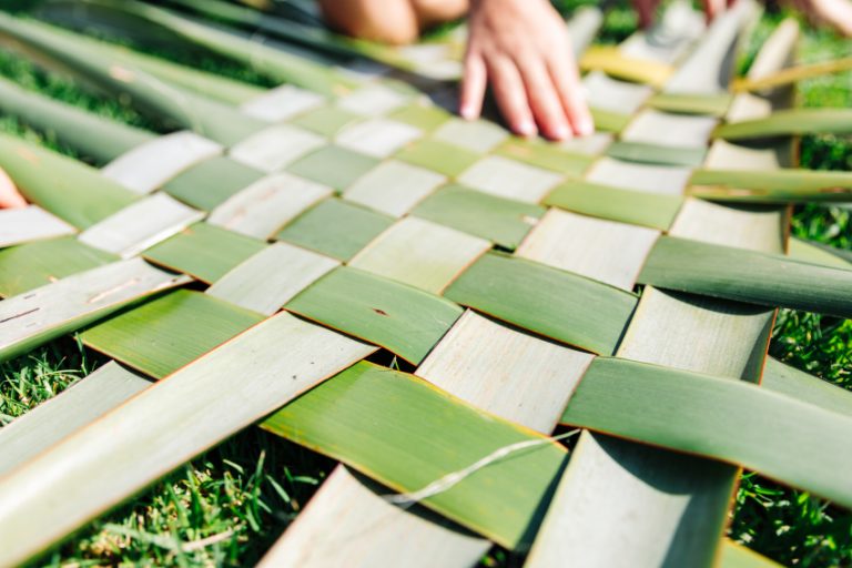 Lighting the pathway to hope