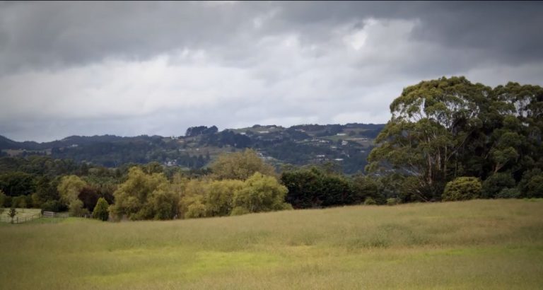 Your chance to run or walk for the hills