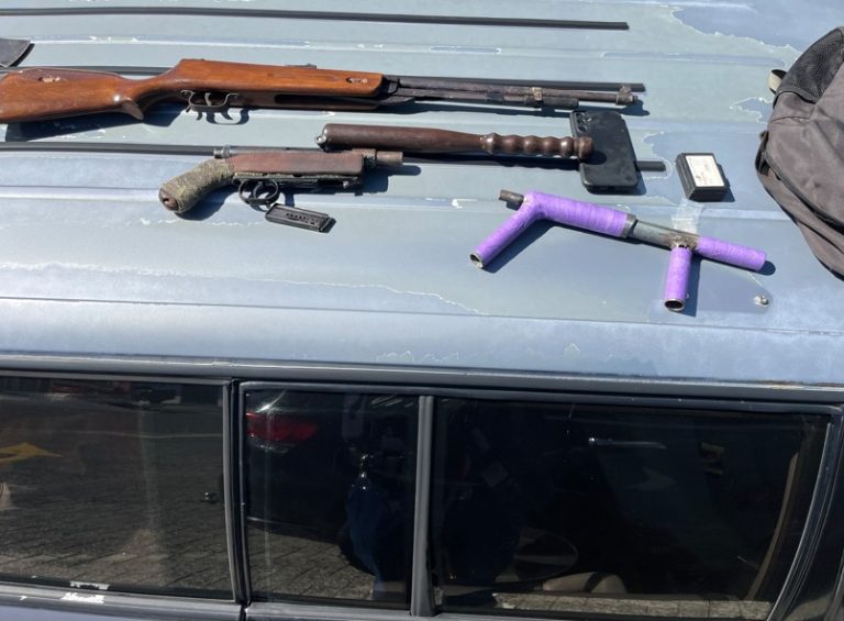 Illegal driver stopped with firearms, weapons and drugs in Whangamatā