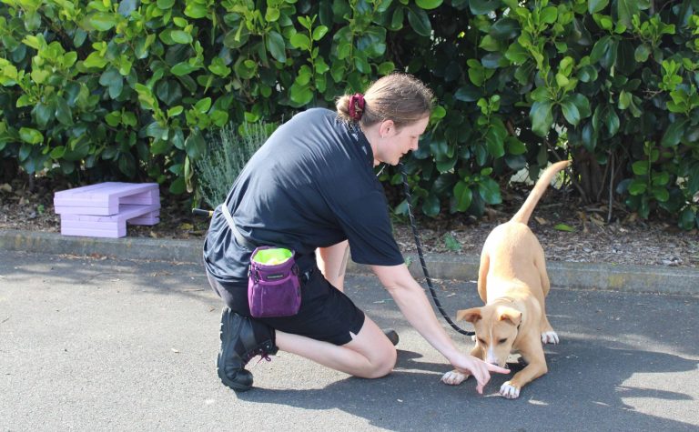 PAC celebrates first birthday