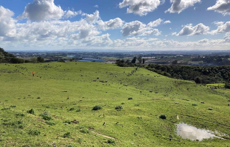 Consent granted for solar farm at Drury Quarry
