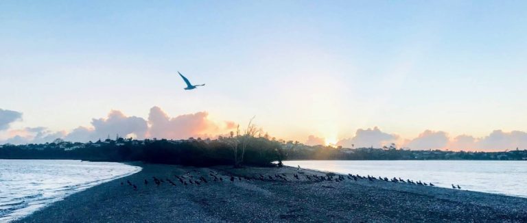 Missing man found dead in Auckland river