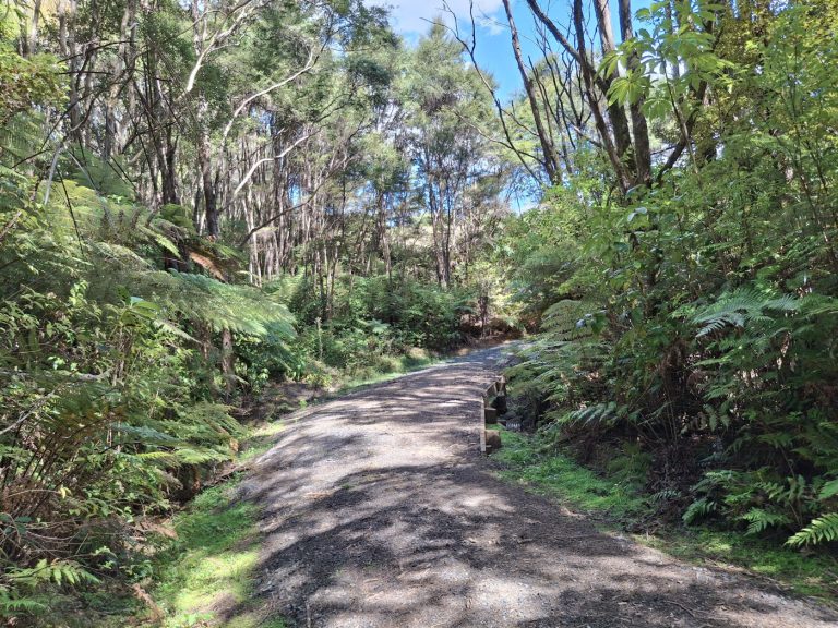 Goal continues to keep ranges free of kauri dieback