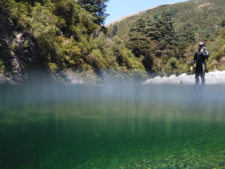 Fish & Game surveys – caught right trout?