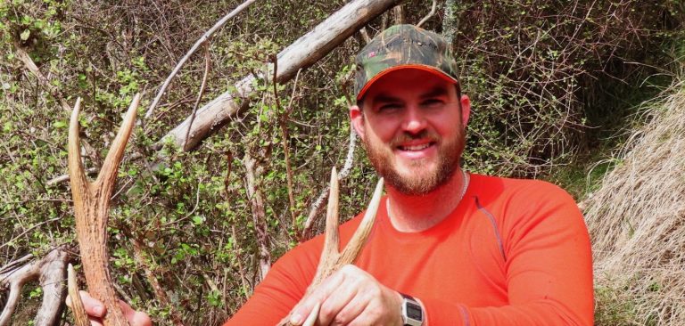 Roar deal – more bang for the ‘buck’