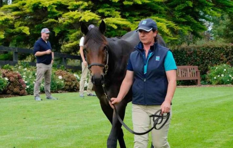 NZB Yearling sale – final hammer to fall