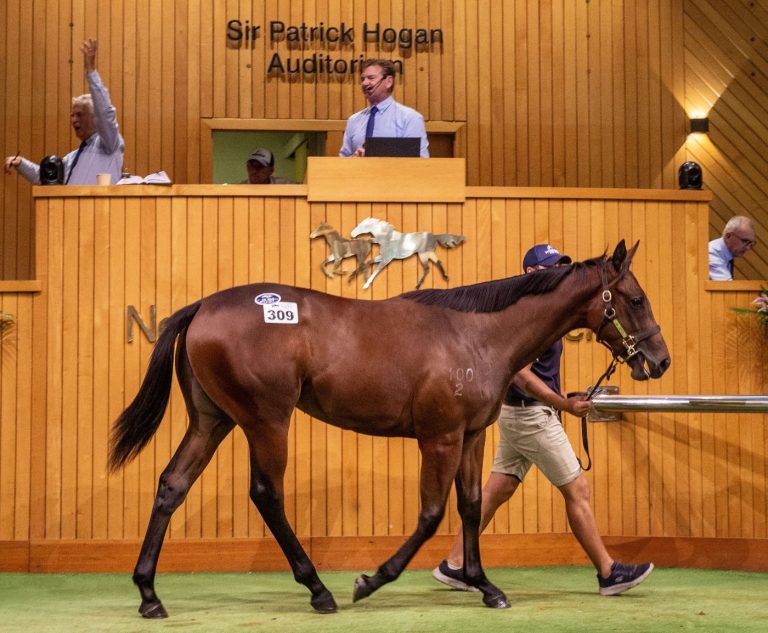 NZB holds (and hosts) horses…
