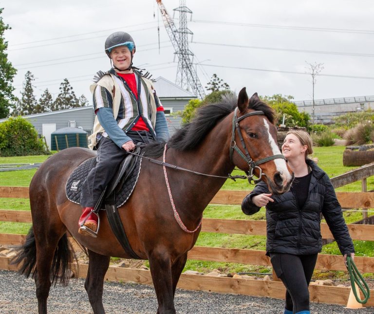 Changing of the (horse) guards