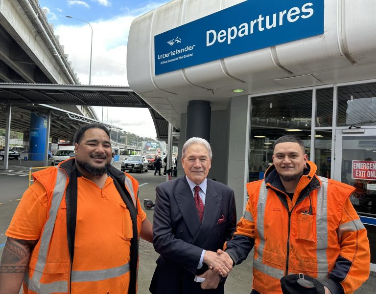 Winston Peters hits prime position in new political poll