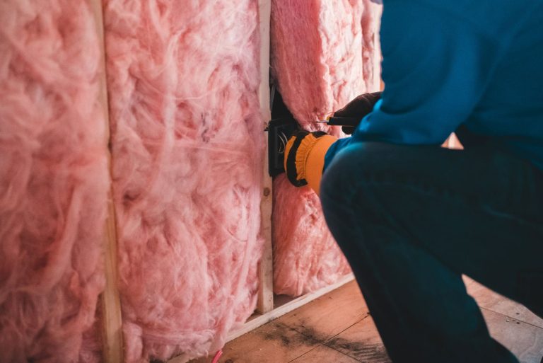Insulation – bats in the attic!