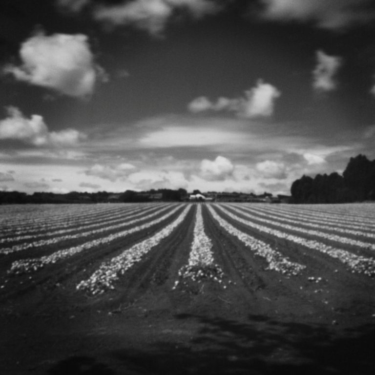 Photo show peels back layers