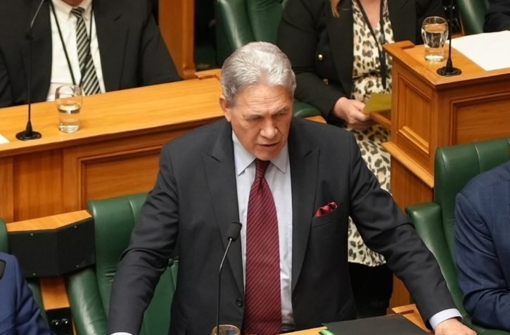 Winston Peters wades into immigration debate