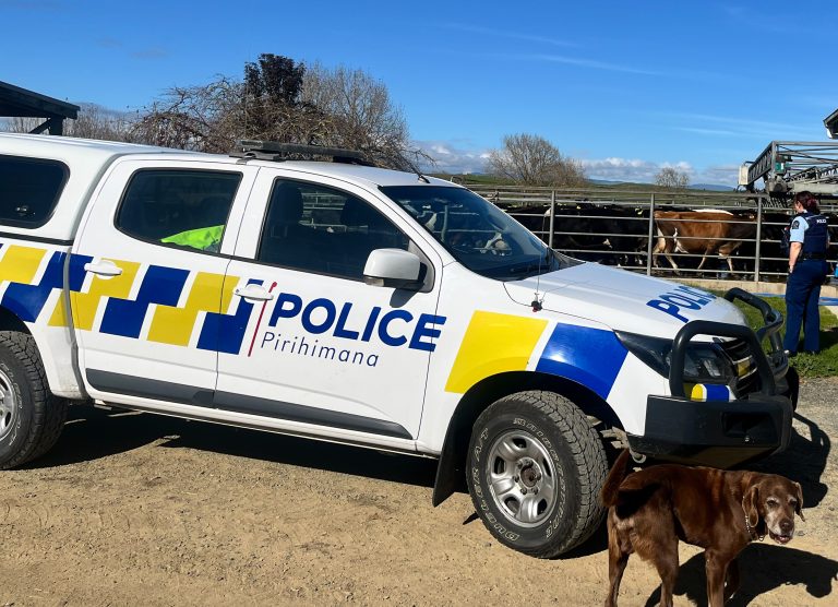 Moove on – take extra care on moving day, police advise