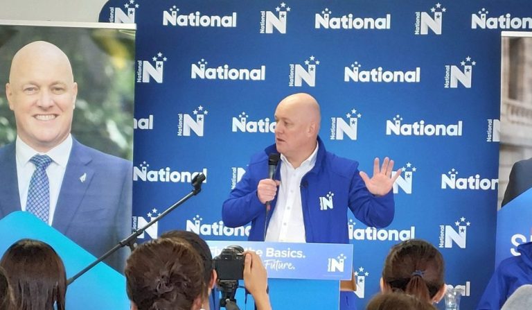 National down, Luxon up in new political poll